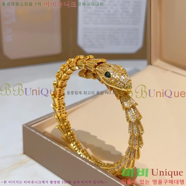 �Ұ��� ���� BV2411363