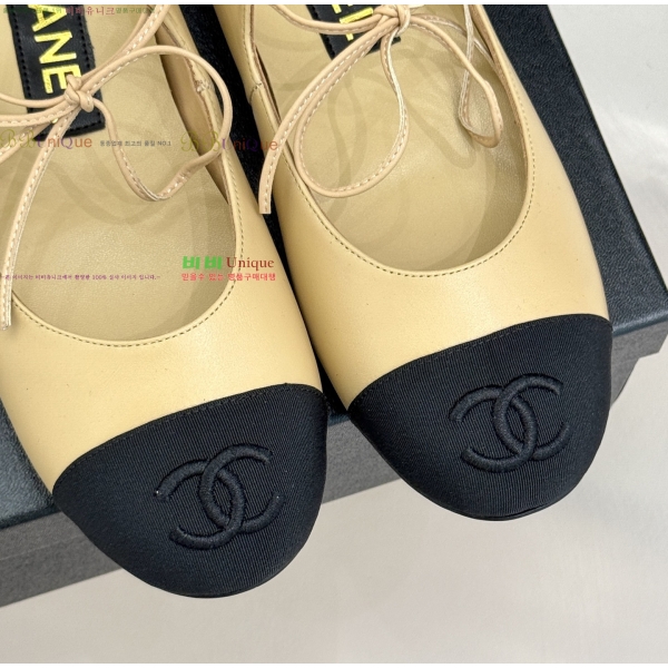 ���� ��* Ŭ���� �÷����� 33CH253131-1