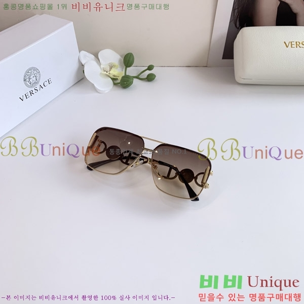 ������ü ���۶� VE102299-1