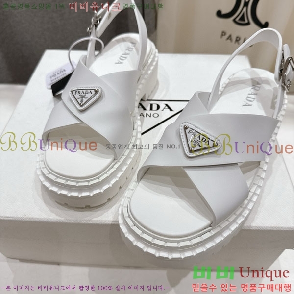 ���� ����� ���� 1P2500666-2