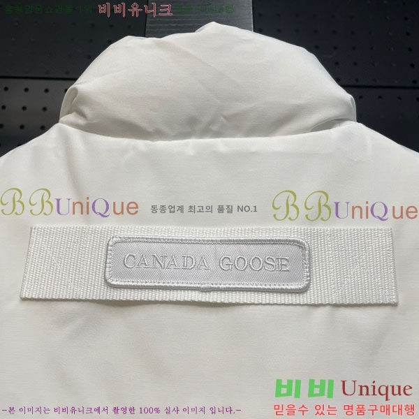 ���� ĳ���ٱ��� �ٿ� �е� CAG23088-6