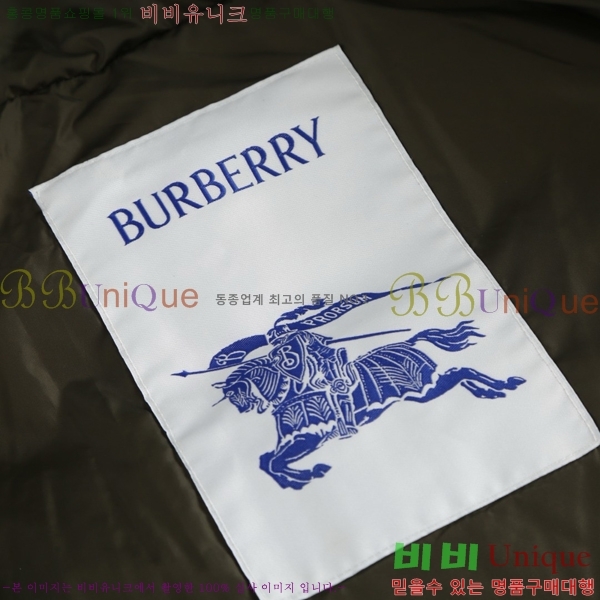 ���� ������ �ٿ� �е� BU6145679-1