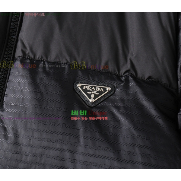 ���� ����� �ٿ� �е� PA253648