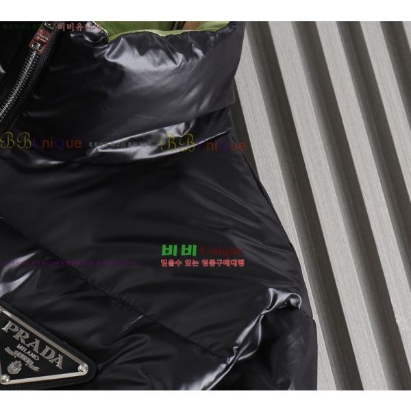 ���� ����� �ٿ� �е� PA253653