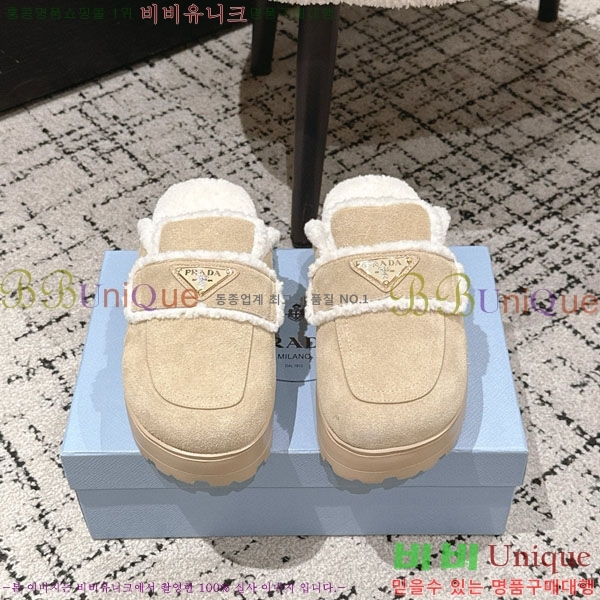 ���� ����� �� ������ P5560221-4