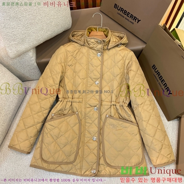 ���� ������ �ٿ� �е� BU2536219-1