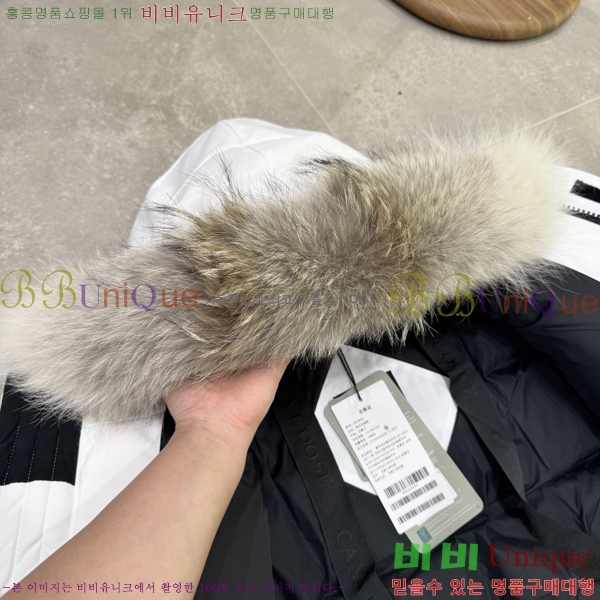 ĳ����*�� �ͽ����� �ٿ� �е� 60CA2511293-4