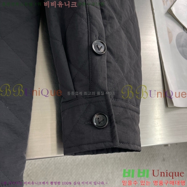 ���� ���װ�����Ÿ �淮 �е� BV242876