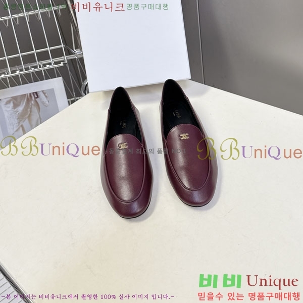 ������ Ŭ���� ����  CE256089-2