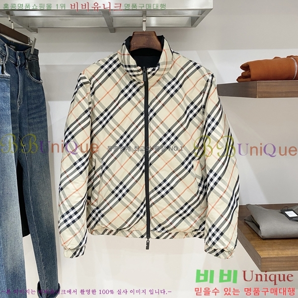 ���� ������ �е� ���� BU256279