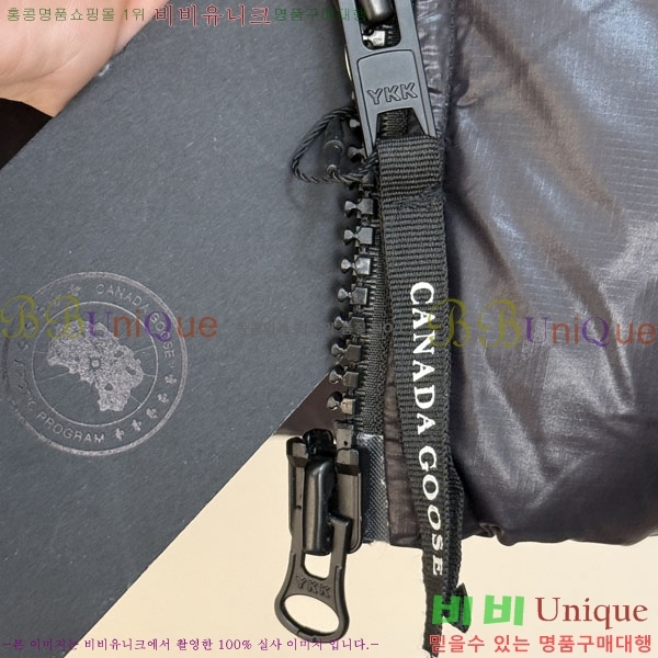  ĳٱ ٿ е CAG157494-1