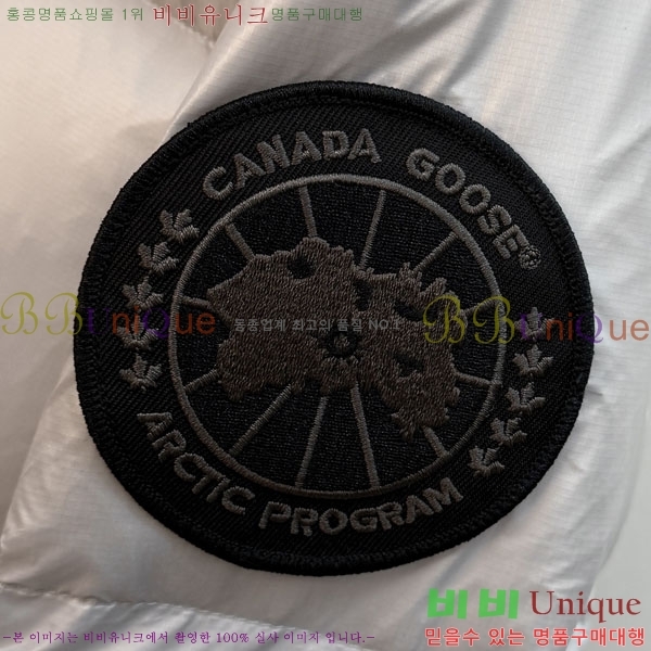 ���� ĳ���ٱ��� �ٿ� �е� CAG157493-1