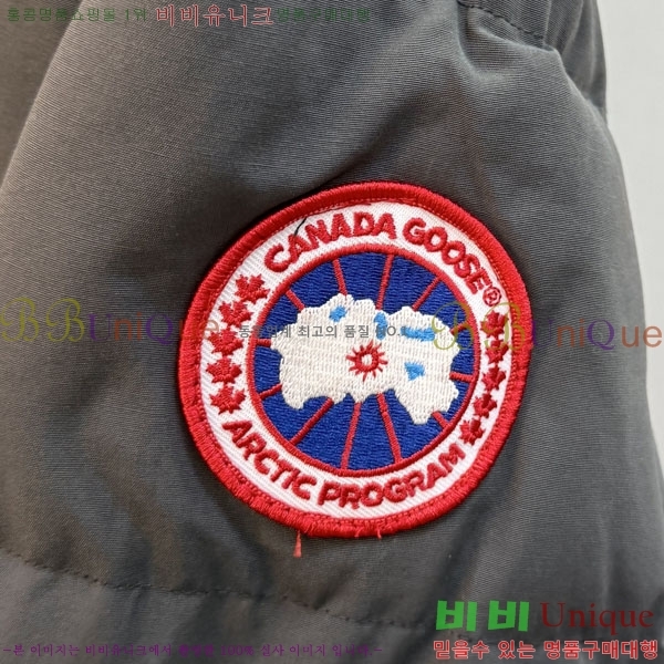  ĳٱ ٿ е CAG157496-2