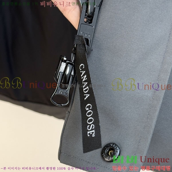  ĳٱ ٿ е CAG157496-2