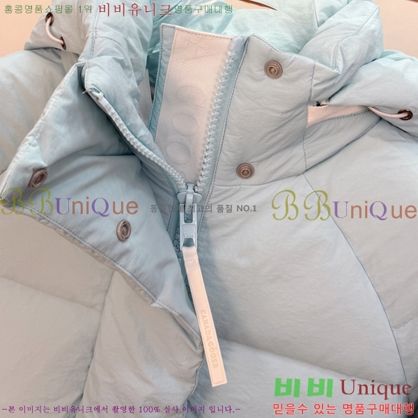 �������� ĳ���ٱ��� �ٿ� �е� CAG215556-5