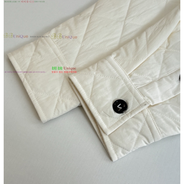 ���� ���װ�����Ÿ �淮 �е� BV242880-1