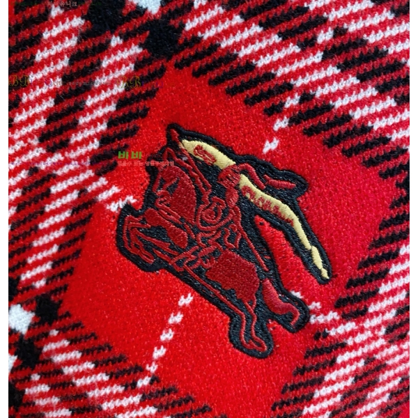 ���� ������ ������ BU376840