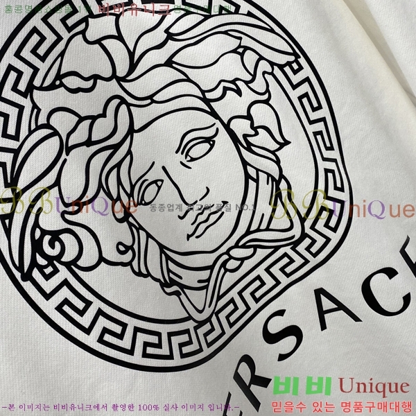 ���� ������ü ������ VE4615283-2