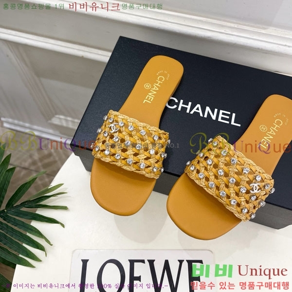 ��* ���� A81577806