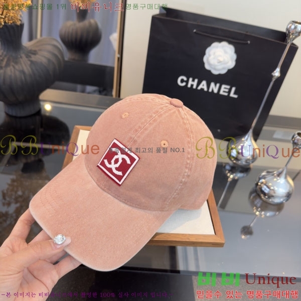 ��* ���� CH2520889-1