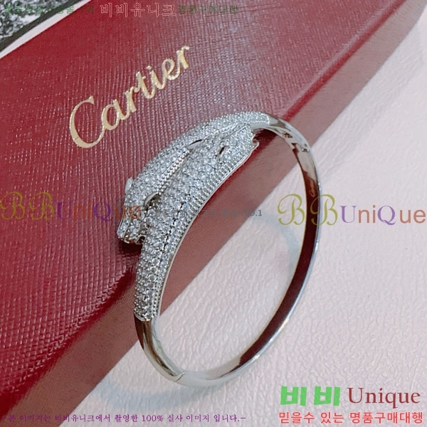 �������� ��쿡 ���� CA333520-1