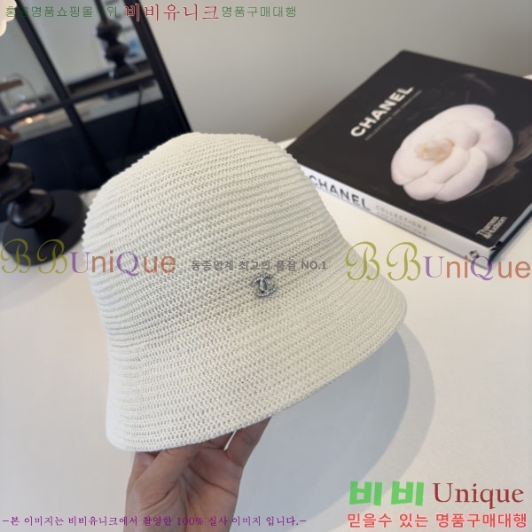 ��* ���� CH2520951-1